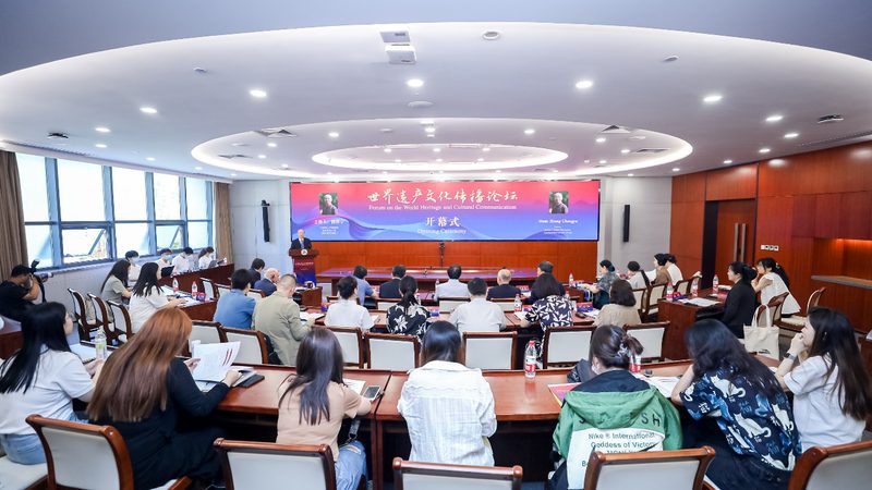 mg动画与Flash：入门者的学习选择解析