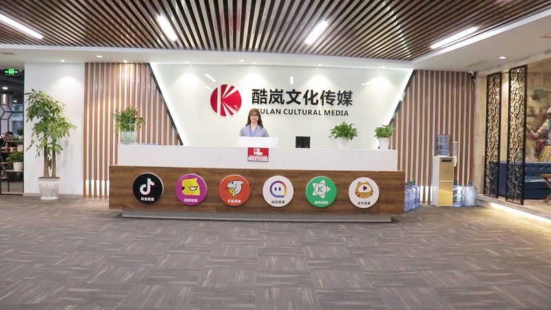 影视制作收费标准揭秘：价格构成与影响因素